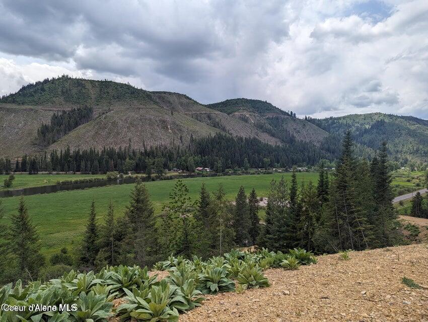 484 Ahrs Loop St. Maries, ID 83861 - Photo 8 of 17 20240522163747107777000000-o