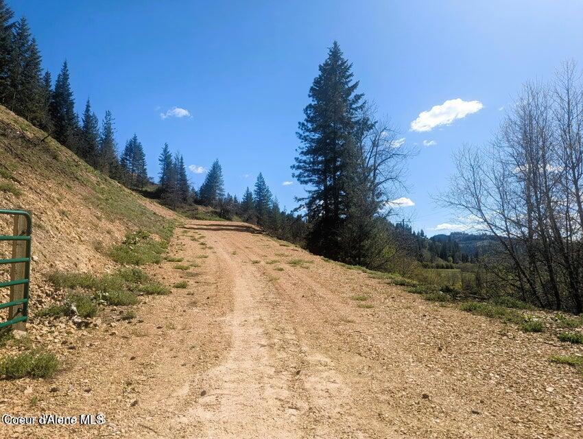 484 Ahrs Loop St. Maries, ID 83861 - Photo 9 of 17 20240422215909817938000000-o