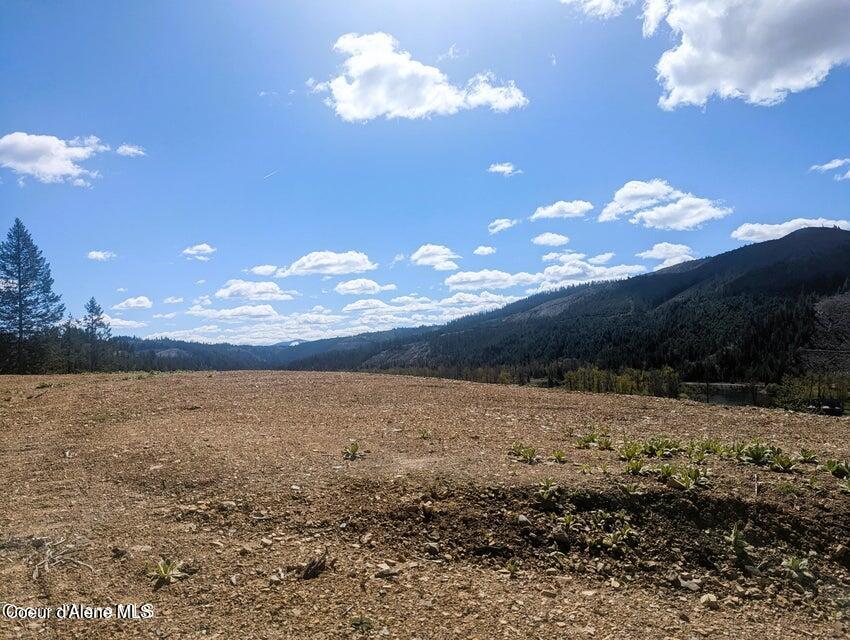 484 Ahrs Loop St. Maries, ID 83861 - Photo 10 of 17 20240422215721037071000000-o