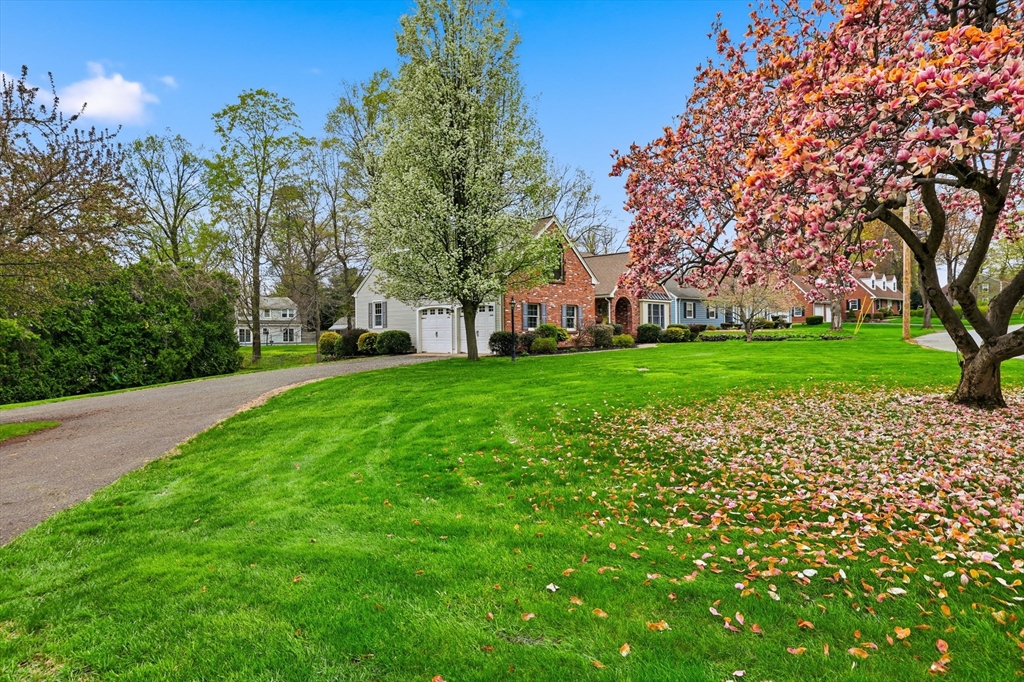 7 Brewster Road West Springfield, MA 01089 - Photo 6 of 41