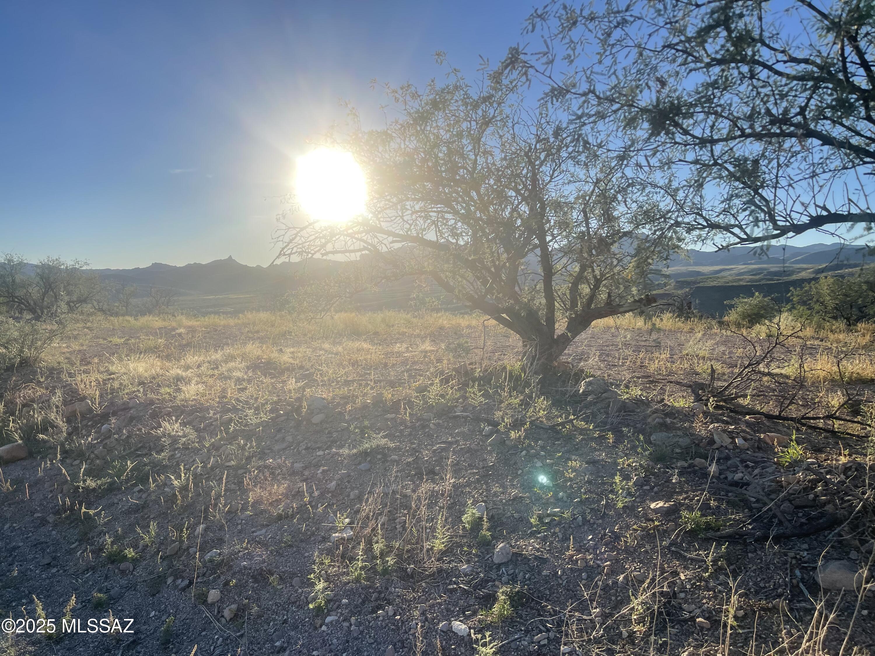 590 Camino Kansas, Unit 33/34 Rio Rico, AZ 85648 - Photo 10 of 10