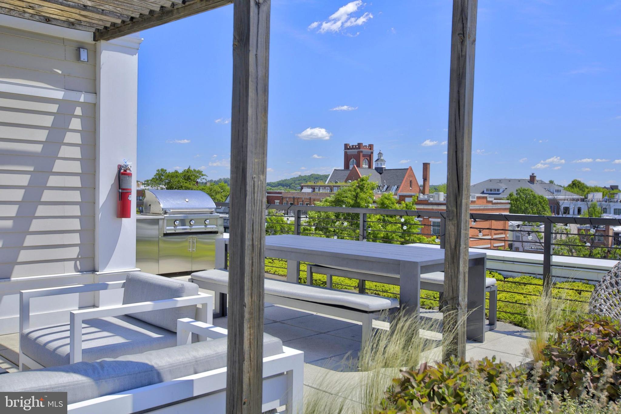 300 8th Street Northeast, Unit PH502 Washington, DC 20002 - Photo 39 of 49 Community Roof Deck Grilling Area