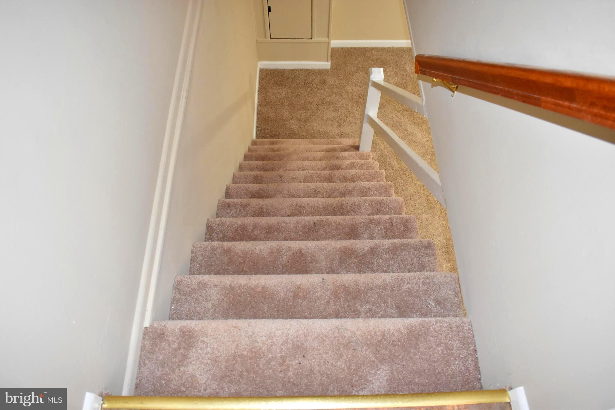 622 Markham Road Baltimore, MD 21229 - Photo 27 of 34 Wall-to-Wall Carpet