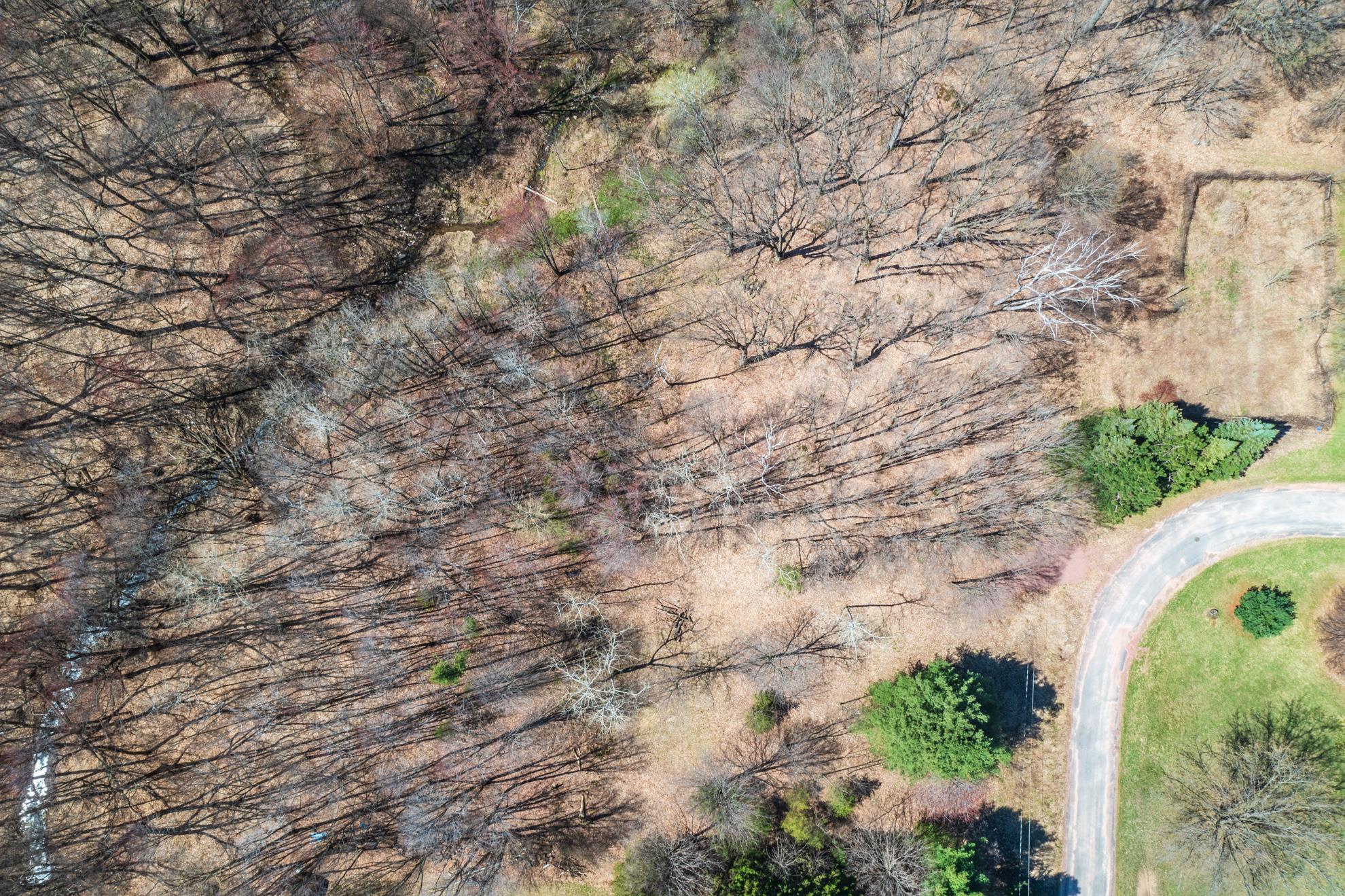 Canyon Road Wausau, WI 54403 - Photo 24 of 26