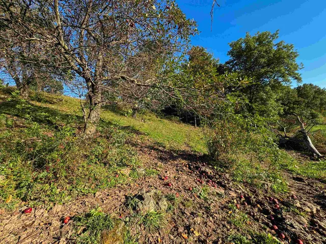 $475,000 | 29000 Monarch Avenue, Kendall, WI 54638