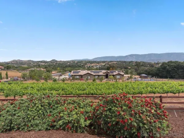 $1,650,000 | 15256 Molly Anne Court, Valley Center, CA 92082