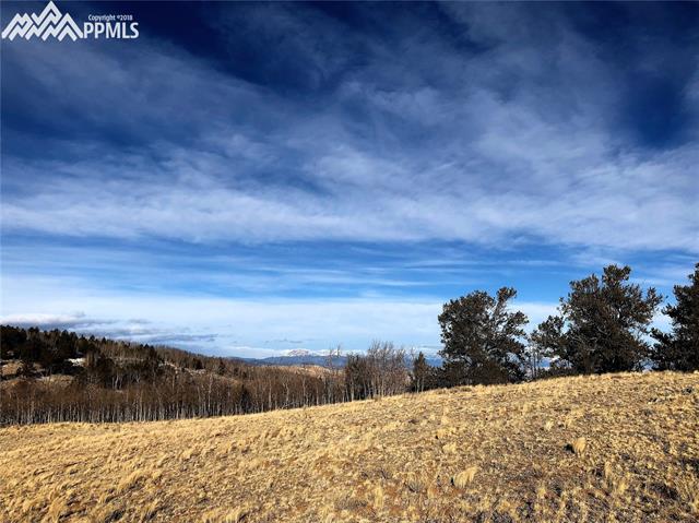 Tbd Long Gulch Road Hartsel, CO 80449 - Photo 3 of 27 Great build spot up on the hillside. It levels out with several options to place your mountain home.
