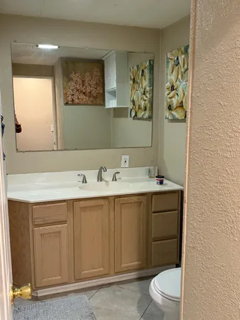 a bathroom with a sink a toilet and mirror
