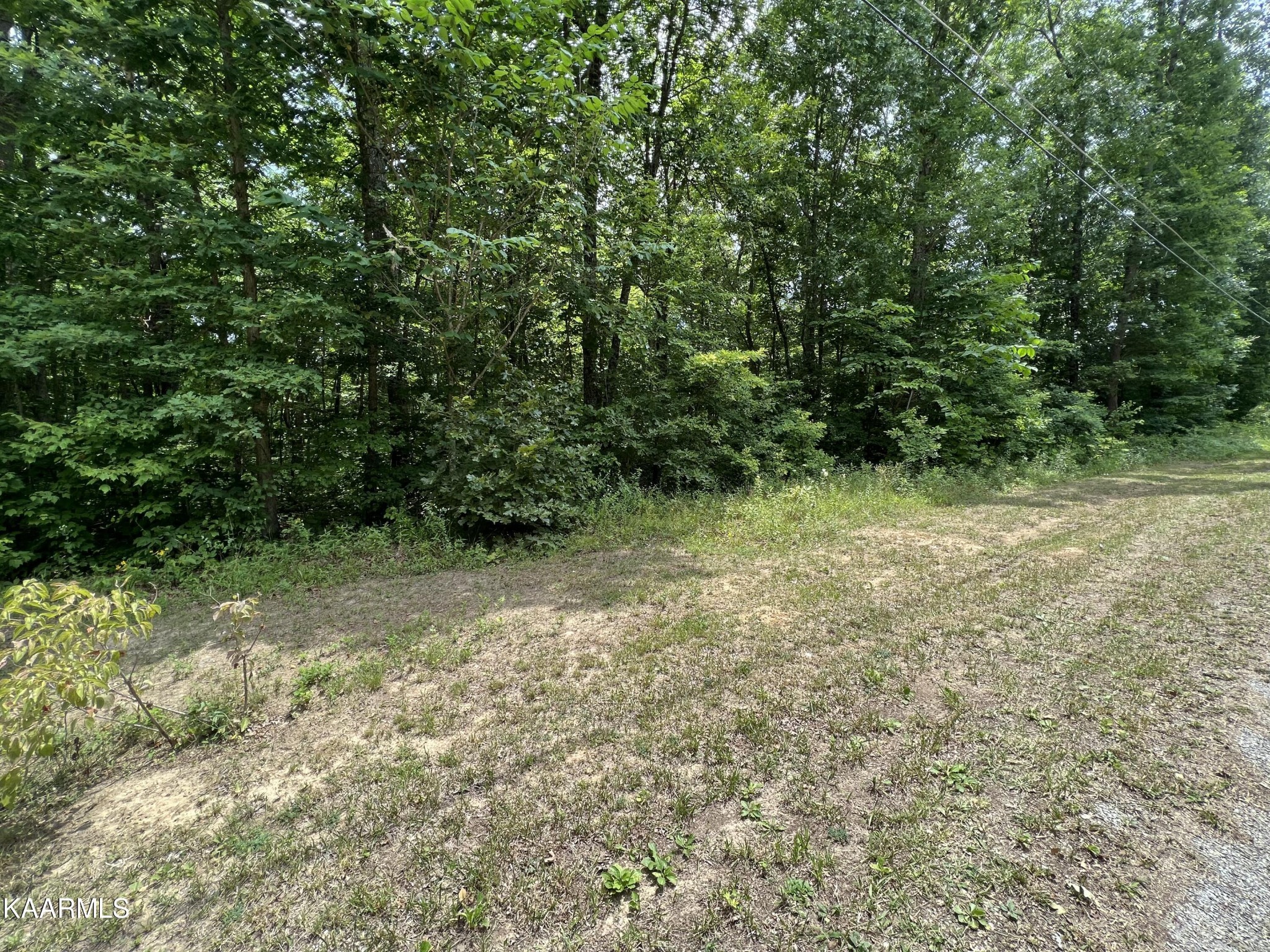 0 Robbins Road Crossville, TN 38572 - Photo 4 of 8 Gallery Image 4
