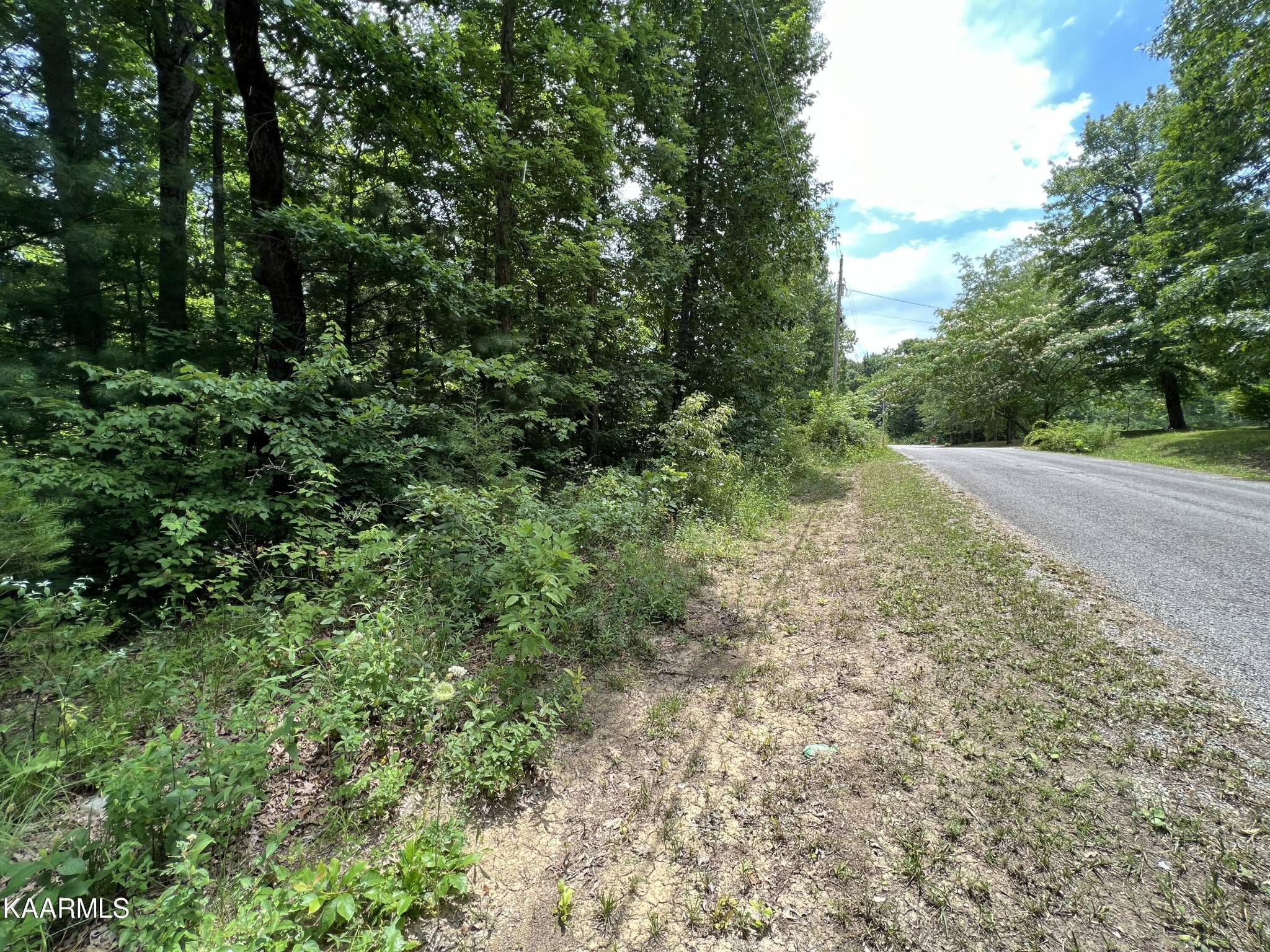 0 Robbins Road Crossville, TN 38572 - Photo 6 of 8 Gallery Image 6