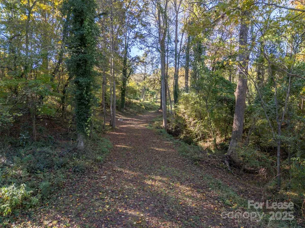 a view of a forest with trees