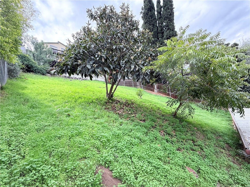 2575 Riverside Terrace Los Angeles, CA 90039 - Photo 25 of 29 a green field with lots of bushes