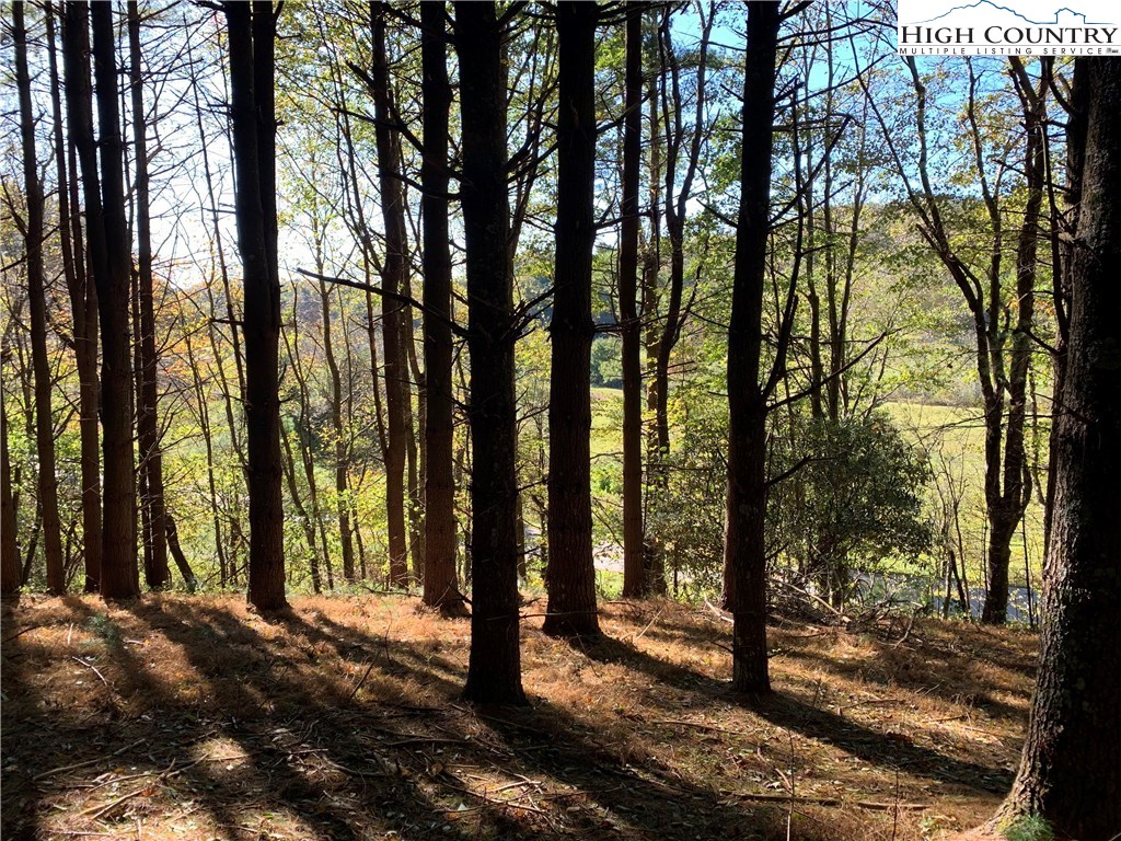 0 Elk Knob Road Laurel Springs, NC 28644 - Photo 11 of 22 Gallery Image 11
