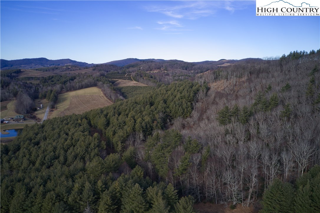 0 Elk Knob Road Laurel Springs, NC 28644 - Photo 20 of 22 Gallery Image 20