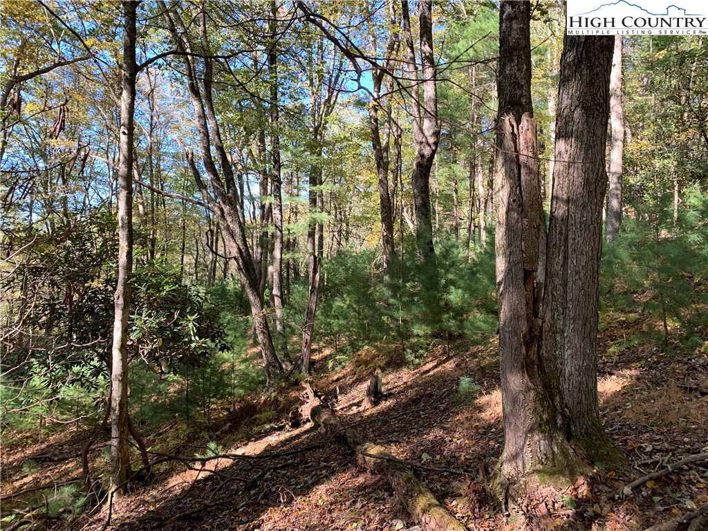 0 Elk Knob Road Laurel Springs, NC 28644 - Photo 8 of 22 Gallery Image 8