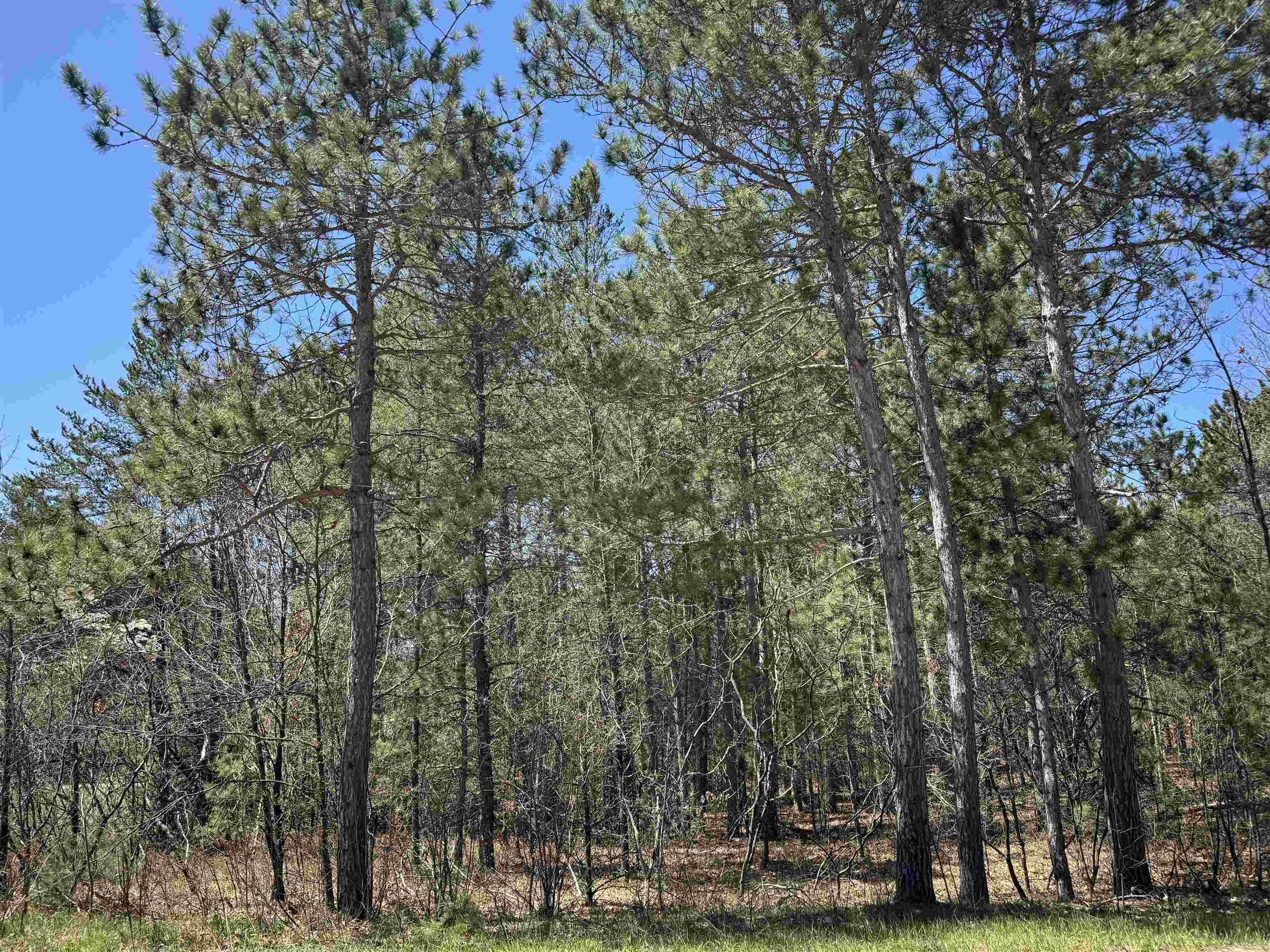 N1603 Spirit Ridge Road, Unit 37 Keshena, WI 54135 - Photo 1 of 1 Gallery Image 1