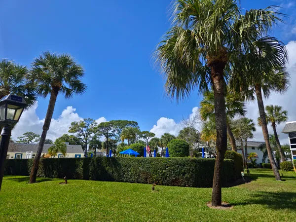 a view of a white house with a big yard and potted plants