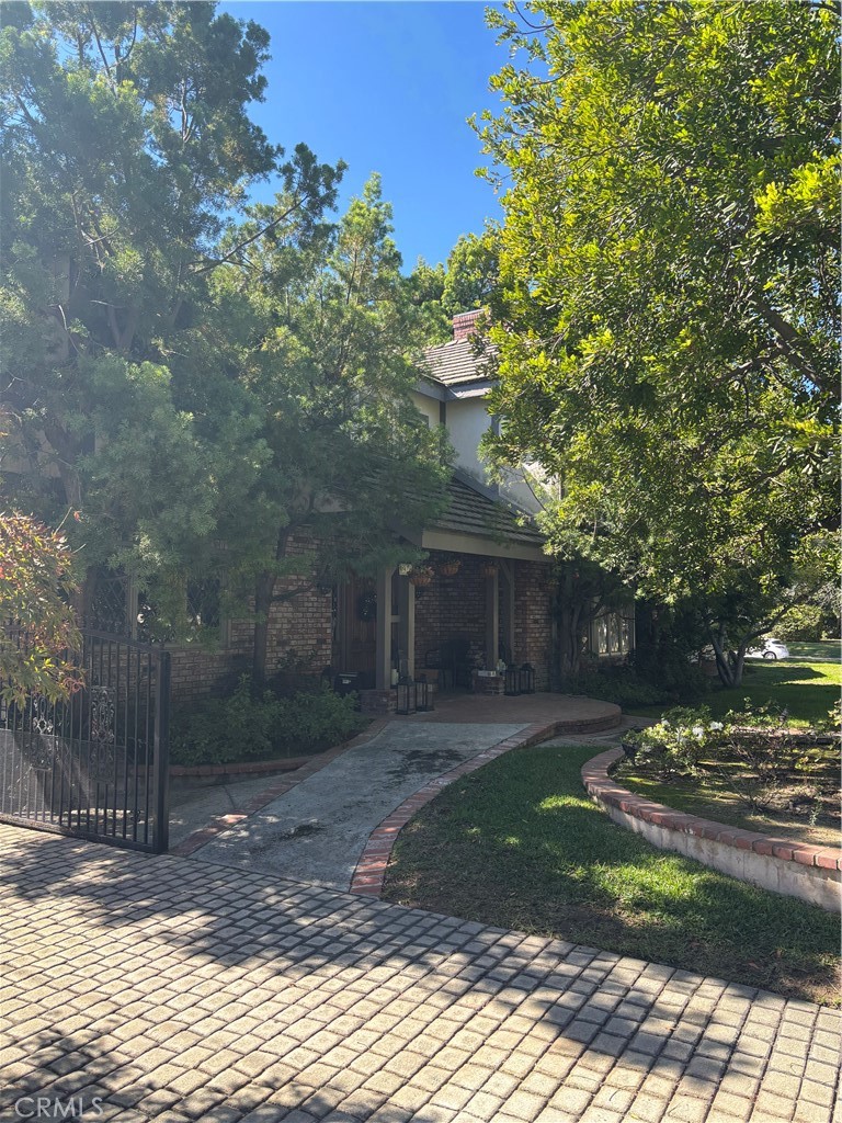 a view of a yard with plants and trees