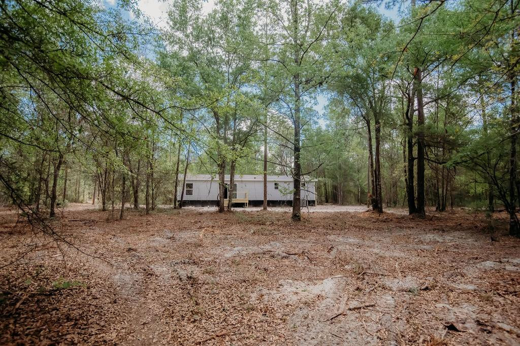 2751 Mineral Springs Road Waynesville, GA 31566 - Photo 5 of 22