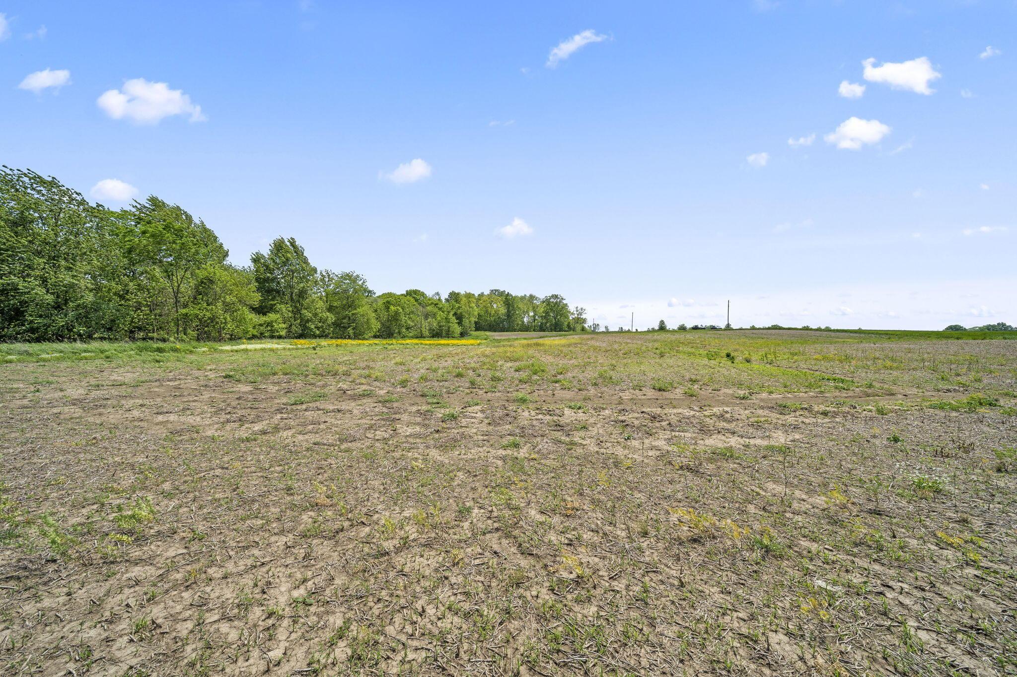 4 Ford-Reed Road Richwood, OH 43344 - Photo 9 of 14 29-web-or-mls-DSC06760