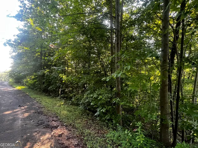 a view of a large yard with lots of green space