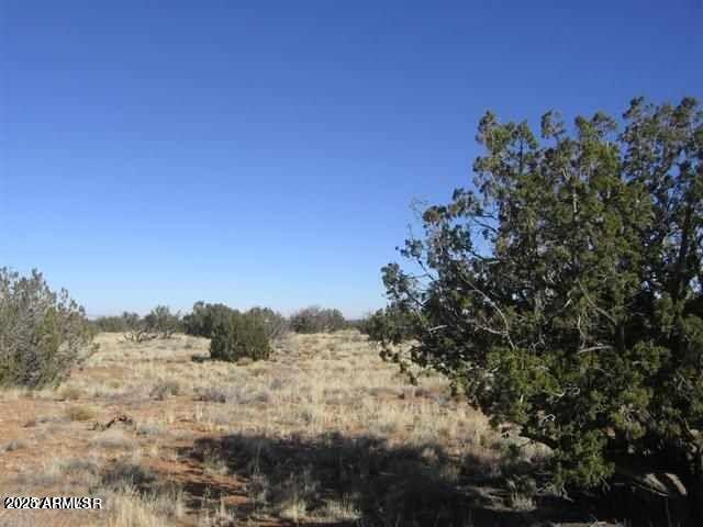 31 T15n R16e:nw4 Se4, Unit 28 Heber, AZ 85928 - Photo 2 of 4 a view of a outdoor space with mountain view