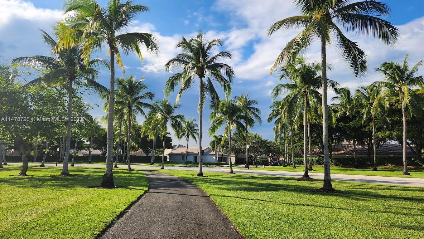 1135 Areca Way Weston, FL 33327 - Photo 34 of 45 a view of a park with palm trees