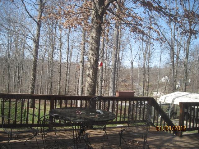 1008 Turnbull Road White Bluff, TN 37187 - Photo 18 of 18 View of Large Back Deck from den
