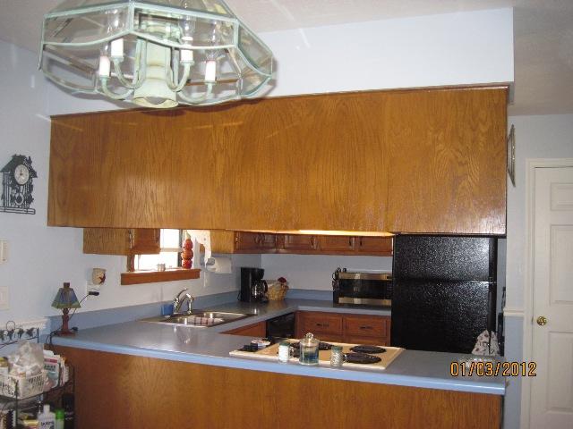 1008 Turnbull Road White Bluff, TN 37187 - Photo 6 of 18 Lots of Counter space and all the appliances