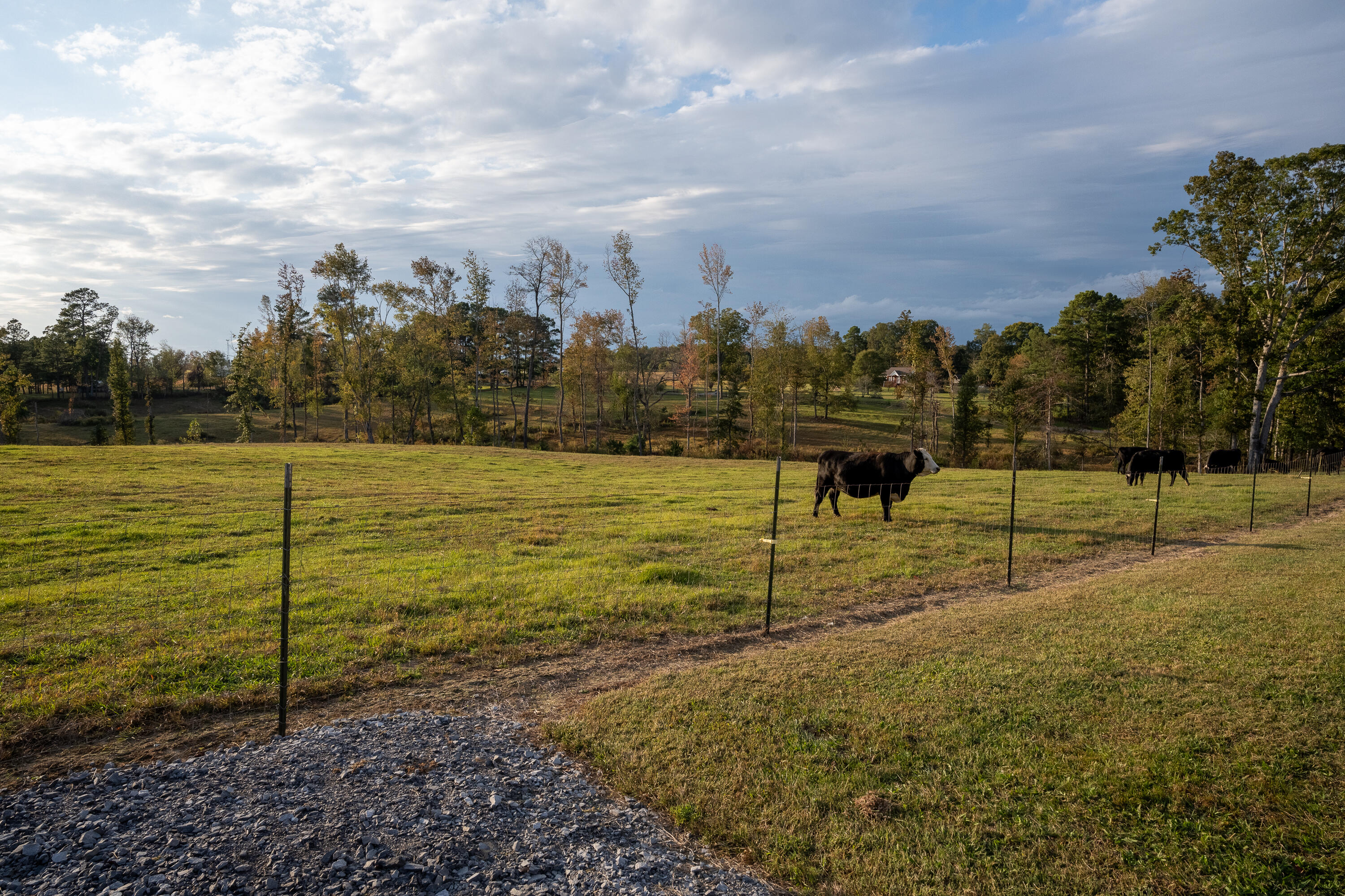 291 Lacy Road Henagar, AL 35978 - Photo 8 of 47 DSC01499-HDR