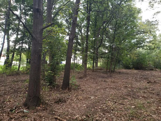 a view of a house with a tree in the background