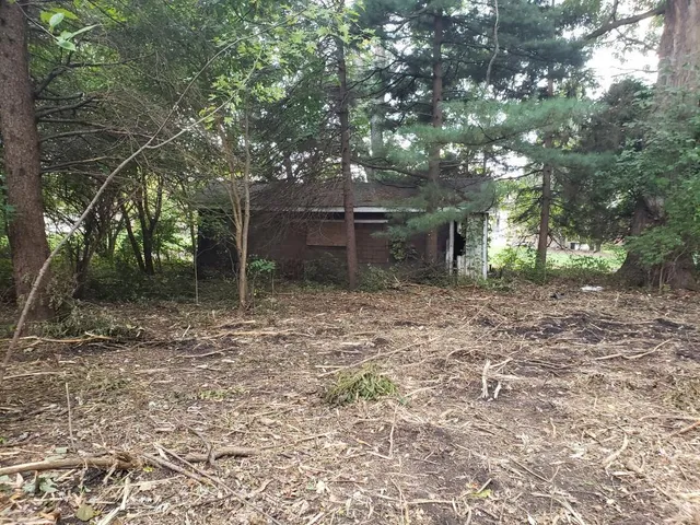 a view of outdoor space with trees