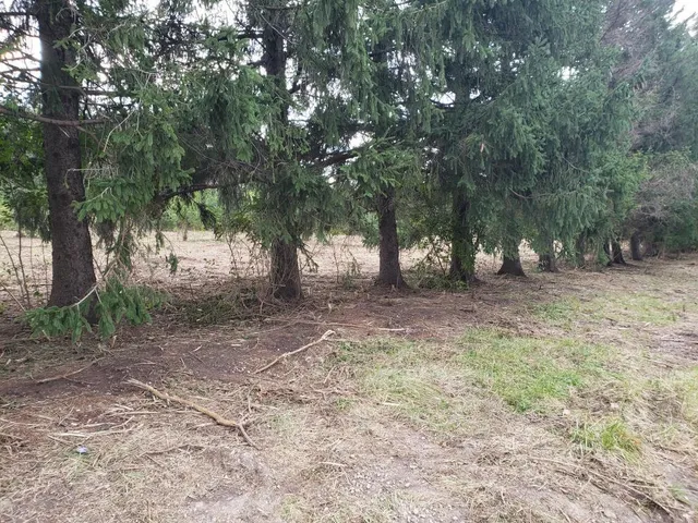 a picture of city view