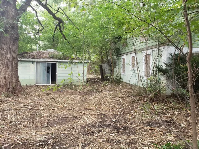 a view of a yard with plants and a bench