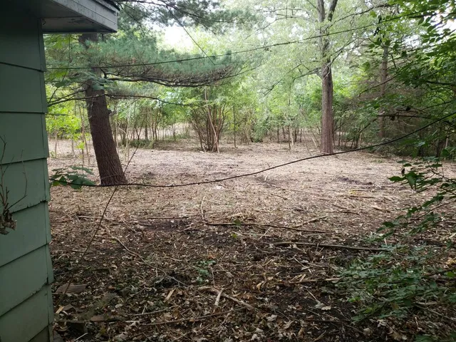 a backyard of a house with lots of green space