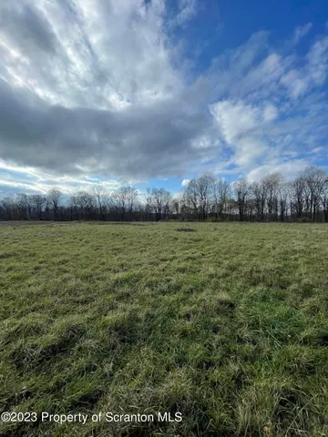 a view of a field with an ocean