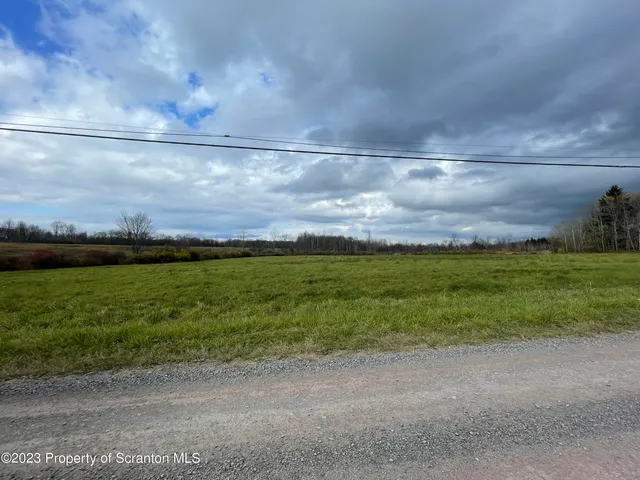 a view of a field with an ocean