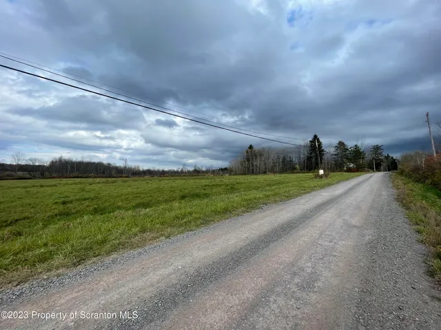 a view of yard with ocean and trees