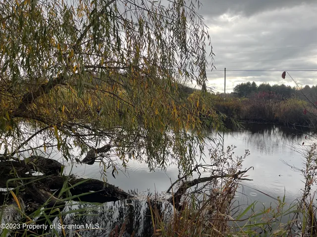 a view of an ocean and a yard