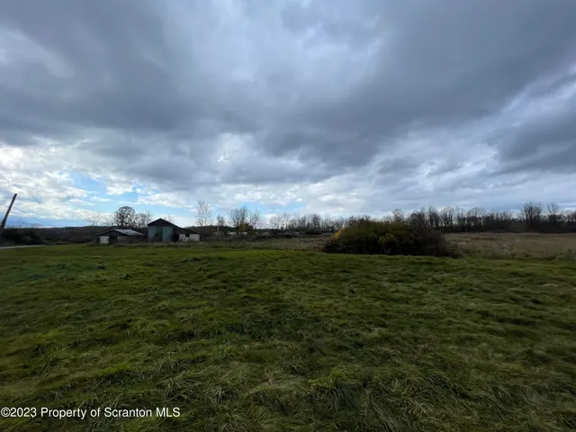 a view of a garden from a yard