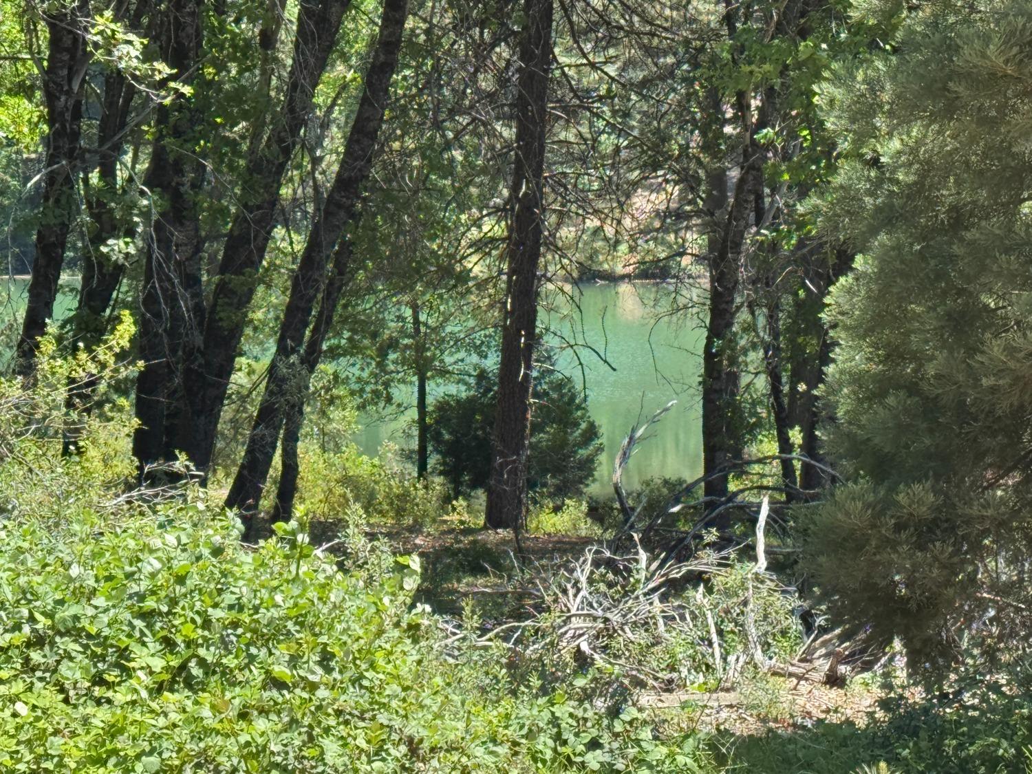 20710 Foresthill Road Foresthill, CA 95631 - Photo 11 of 12 Todd Valley Pond