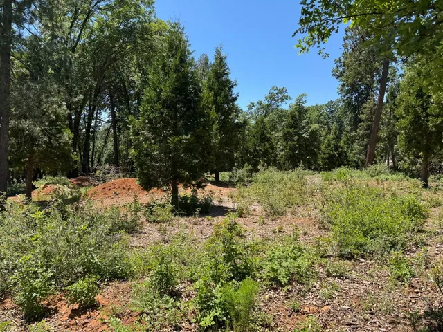 $209,000 | 20710 Foresthill Road, Foresthill, CA 95631