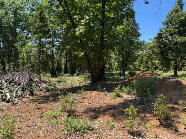 $209,000 | 20710 Foresthill Road, Foresthill, CA 95631