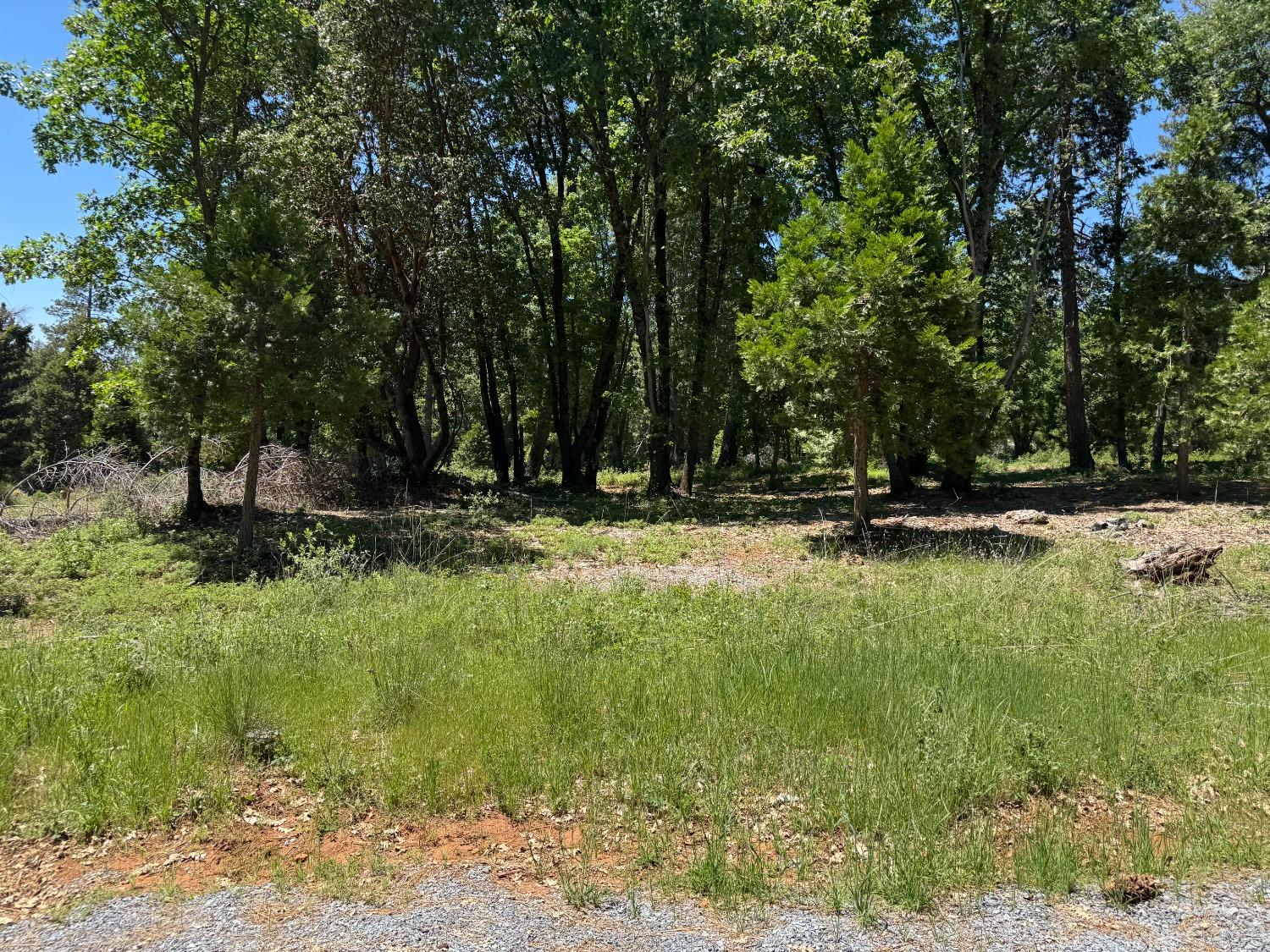 20710 Foresthill Road Foresthill, CA 95631 - Photo 8 of 12