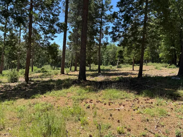 $209,000 | 20710 Foresthill Road, Foresthill, CA 95631