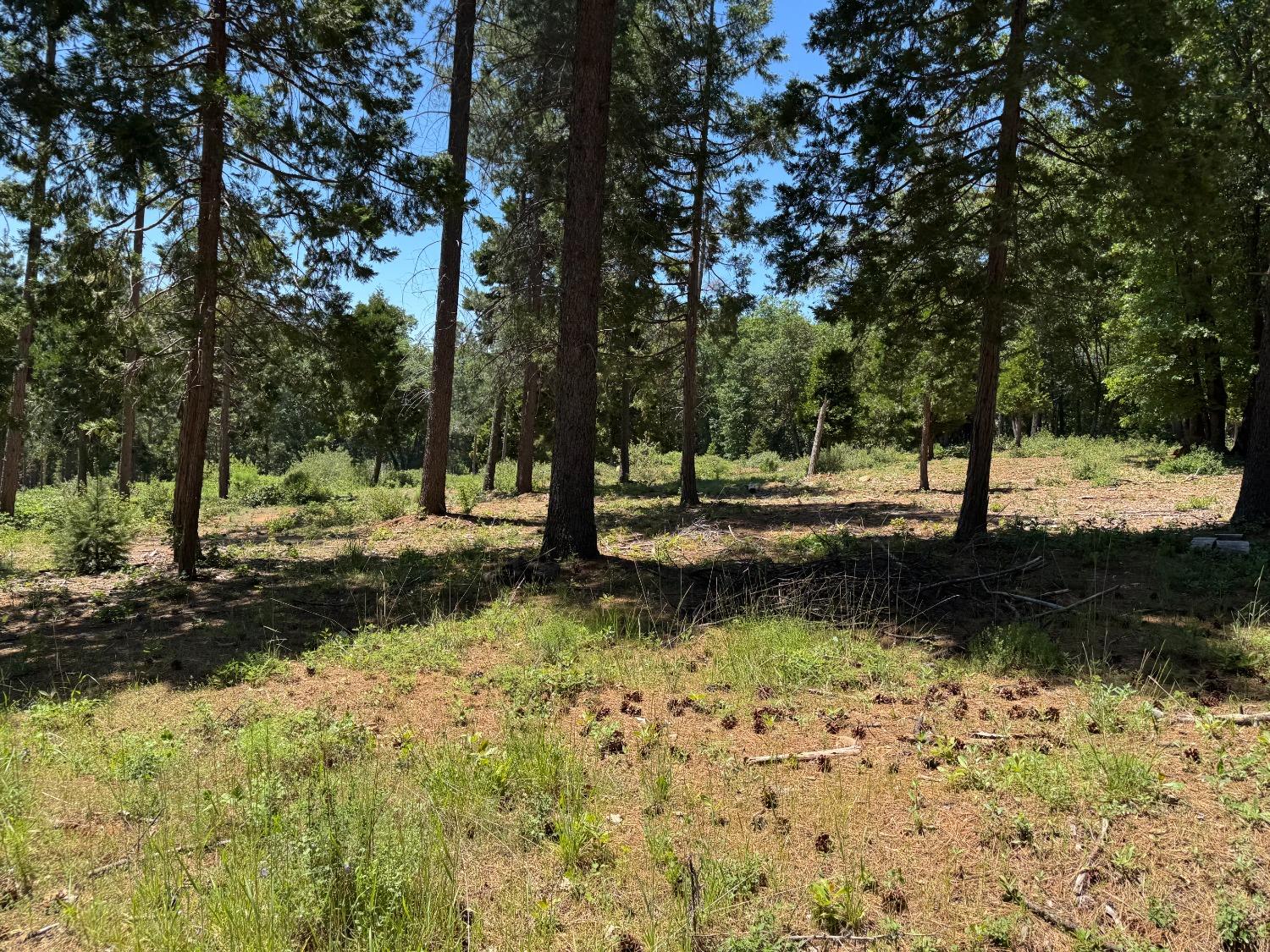 20710 Foresthill Road Foresthill, CA 95631 - Photo 9 of 12