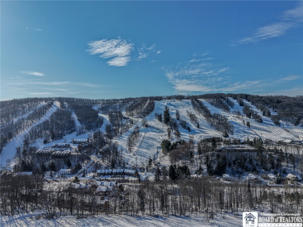 16 Stone Ridge Ellicottville, NY 14731 - Photo 34 of 46