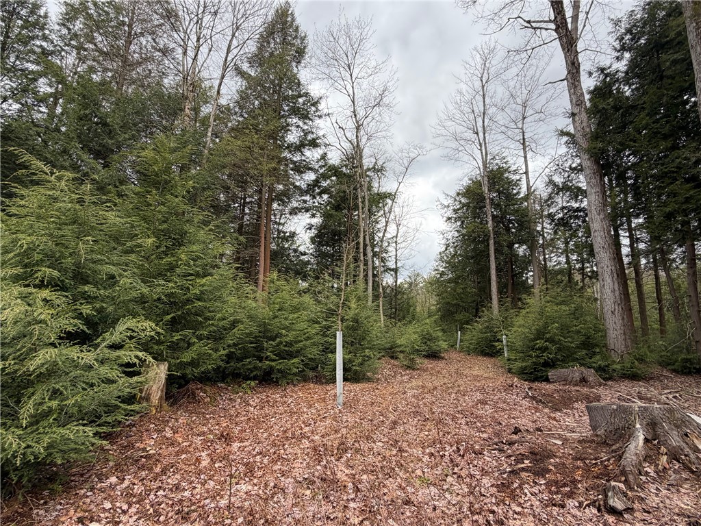 Pritchard Road Springville, NY 14141 - Photo 16 of 23