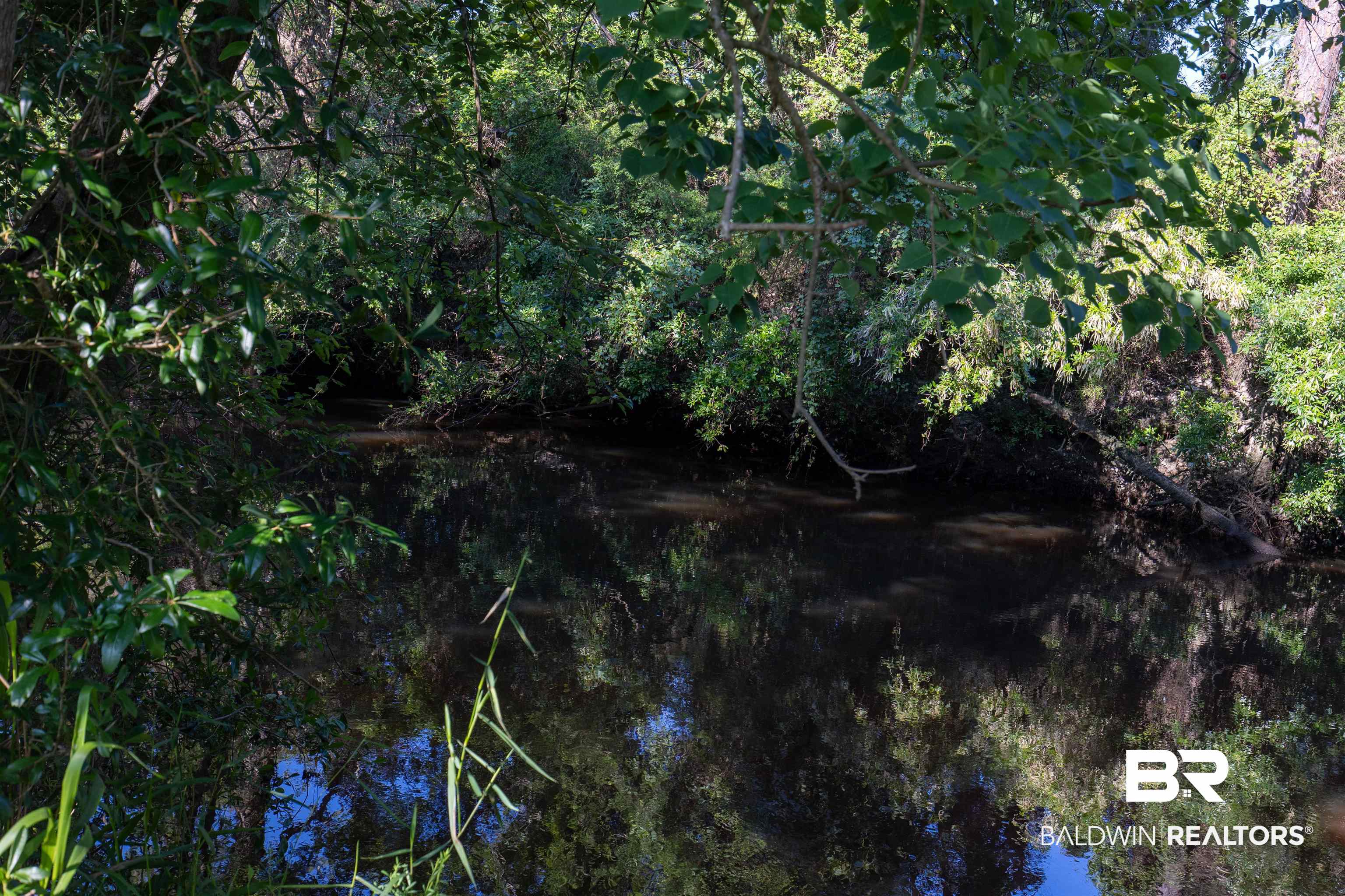 19755 Vaughn Road Seminole, AL 36574 - Photo 18 of 45