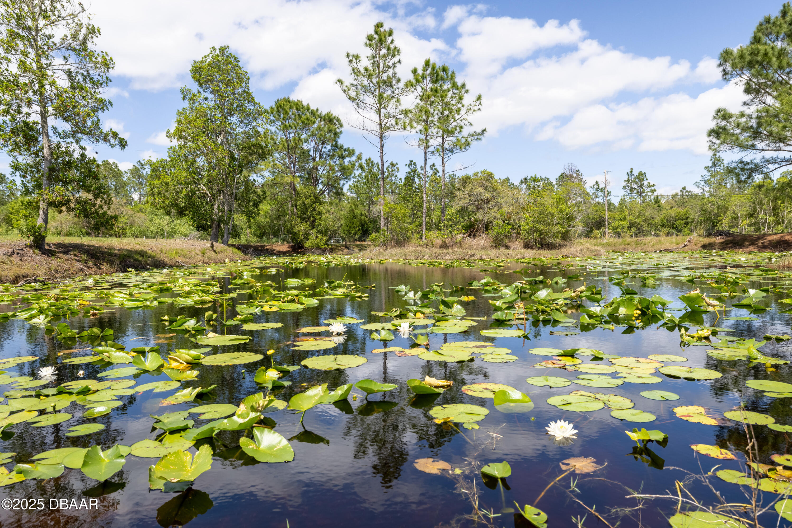 1060 Still Road Pierson, FL 32180 - Photo 37 of 37 1060 Still Road-1